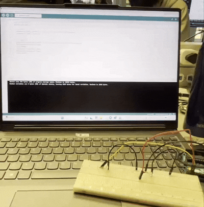 Switch to the 2LED circuit and connect both LEDs to the white board using additional black wires and wires of other colors. Test whether both LEDs will flash simultaneously.